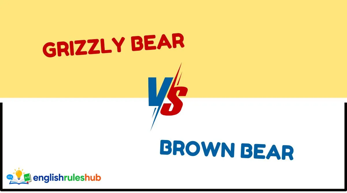 Grizzly Bear vs Brown Bear vs Black Bear vs Polar Bear