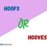 Hoofs or Hooves