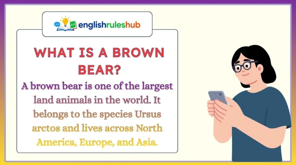 What Is a Brown Bear?