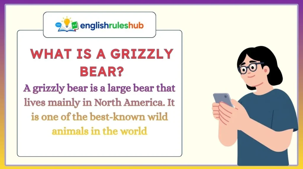 What Is a Grizzly Bear?