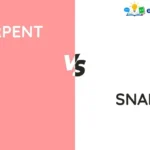 Serpent vs Snake