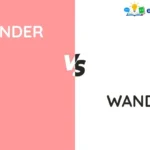 Wonder vs Wander